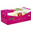 Single Bags>Julius Meinl Bio Spritziger Apfel - Zitrus - 25 Teebeutel