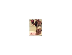 Poster>Julius Meinl Kaffee Poster